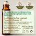 Gya Labs Purify Essential Oil Roll-On - Fresh Cleansing Scent 10ml (Pack of 1) - Buy Online on GoSupps.com