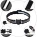 YUIONNAY Breakaway Cat Collars for Kittens - Bell Puppy Collars for Litter - Buy Online on GoSupps.com