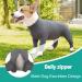 Etdane One-Divider for Dogs | Surgery Recovery Suit Prevents Hair Loss & Anxiety | XXL XXXL Gray Jumpsuit - Buy Online on GoSupps.com