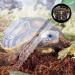 Mallalah Needle Hygrometer Terrarium Thermometer Humidity Meter Pressure Gauge for Amphibian Reptiles Lizard Snake Reservoir ROHS Certified - Buy Online on GoSupps.com
