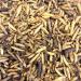 Dried Calciworms 2kg Premium Wild Bird & Hedgehog Food Insect 2 kg (Pack of 1) - Buy Online on GoSupps.com