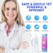 DIAREGNO Teeth Whitening Pen (2 Pens) - Painless & Effective for a Beautiful White Smile - No Sensitivity - Natural Mint Flavor - Buy Online on GoSupps.com