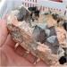 Natural Crystal Rough 100-400g Natural Citrine Brown Quartz Feldspar Crystal Cluster Wands raw Stones Points Tower Rock Specimen Decor (Color : About 400g) - Buy Online on GoSupps.com