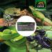 Coco's Ground Coconut Humus for Terrariums | 9L Substrate for Amphibians Reptiles & Vertebrates | Organic Coconut Fiber Litter (650g Brick) - Buy Online on GoSupps.com