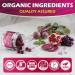 Organic Beet Root Gummies with L-Citrulline & L-Arginine Nitric Oxide Supplements for Men and Women Grape Seed Pomegranate Saffron for Circulation V scul r & Vitality Vegan Sugar Free 120 Cts - Buy Online on GoSupps.com