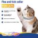 Kreezypet Flea and Tick Collar for Cats | 24-Month Protection | Essential Oils | 19 Inches | 3-Pack | International Shipping - Buy Online on GoSupps.com