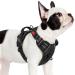 Rabbitgoo dog harness Small dogs dog harness without train adjustable dishes dog without chokes anti -train dog harness with handle softly padded reflective chest harness black s s (1 Pack) black