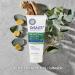 DrSALTS+ Muscle Ease Therapy Shower Gel - Soothing Epsom Salts to Relieve Strains Pain & Stiffness with Eucalyptus & Ginger Essential Oils - Vegan & Cruelty-Free 6x200ml Eucalyptus 200 ml (Pack of 6) - Buy Online on GoSupps.com