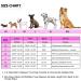 Buy Queenmore Dog Life Jacket - Ripstop Swimming Vest for Small & Large Dogs | Lifeguard with Handle for Kayaking - Fuchsia M - Buy Online on GoSupps.com