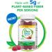 Fiber Choice 5g Plant-Based Prebiotic Fiber Gummies - 60 Count, Mixed Berry - Supports Energy Metabolism, Regularity, and Healthy Gut Bacteria - Buy Online on GoSupps.com