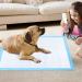 Puppy Pee Pads 6-Layer Design | Leak-Proof Disposable Pet Training Pad | Small Size 13'' x 17'' (20-Count) | For Dogs, Cats, and Rabbits - Buy Online on GoSupps.com