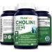 Choline Bitartrate 650mg 200 Veggie Capsules - Vegetarian, Non-GMO & Gluten-Free - Buy Online on GoSupps.com