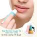 10 Sets Assorted Flavor Lip Balms with Holder - Perfect Gift for Women | Easy Carry Lip Balm Sleeves - Buy Online on GoSupps.com