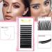 Buy Flat Lashes 0.15 & 0.20 Ellipse Extensions | C CC D DD Curl | Matt Black | International Shipping - Buy Online on GoSupps.com
