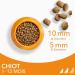 IAMS Vitality Puppy Food Small/Medium Breed with Fresh Chicken 12kg - Buy Online on GoSupps.com