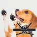 Pick For Life Anti-Slip Dog Paw Pads with Straps,Dog Paw Protectors for Senior Dogs,Black Traction Control Paw Stickers for Old Dogs 16 Pads L-1 7/8"x1 5/8" (21-40 lbs) 1.0