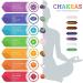 Chakra Stone Healing Crystals Set - 14pcs Natural Gemstone Wand Set for Reiki, Meditation, and Yoga - Buy Online on GoSupps.com