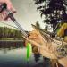 Floating Fishing Lip Gripper with Digital Fish Scale 99lb/45kg | Hook Remover & Lanyards Multi-Tools Kit | Ideal Ice Fishing Gear & Gift for Men - Buy Online on GoSupps.com