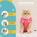 Avont Katzenbody for Cats | Recovery Suit for Spay Castration & Wound Protection - Large Rose Pink - Buy Online on GoSupps.com