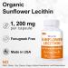 Euphea Sunflower Lecithin Breastfeeding Sunflower Lecithin Capsules Supports Clogged Milk Ducts Steady Milk Supply & Mastitis Sun Flower Lecithin for Pumping Moms 100 Capsules - Buy Online on GoSupps.com