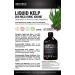 Innotech Nutrition Liquid Ionic Kelp Acai Flavor 530ml - Premium Organic Supplement - Buy Online on GoSupps.com