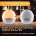 Light Alarm Clock - Daylight Awakening Clock with White Noise & Sunlight Simulation - Nouvelle G n ration - Buy Online on GoSupps.com