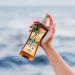 Panama Jack Amplifier Suntan Oil | 0 SPF Light Formula with Exotic Oils, Fruit & Nut Extracts | Tropical Fragrance | 8 FL OZ (Pack of 6) - Buy Online on GoSupps.com