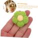 TEHAUX 30 Pcs Hairpin Accessories Ornament Floral Patches Handmade Diy Accessories Toddler Do It Yourself - Buy Online on GoSupps.com