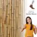 Cosyfeel Women Loose Diabetic Socks | 4-Pack Neuropathy Ankle Socks for Ladies | Super Soft Eco-Friendly Bamboo Material | Durable with Seamless Toe | Multicolour Patterns | 4 Seasons 7-9 1/2 LIGHT BROWN - Buy Online on GoSupps.com