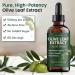 Olive Leaf Extract Liquid Drops With Oleuropein & Hydroxytyrosol Immune Support Supplement for Daily Wellness Antioxidant Support Non-GMO Vegan Alcohol-Free High-Concentration Formula 2 Fl Oz - Buy Online on GoSupps.com