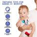 Silicone Baby Teething Toys - Game Controller Teether for Babies 0-12 Months - Sensory Exploration and Teething Relief - Blue & Red - Buy Online on GoSupps.com