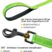 Demigreat Reflective Dog Leash - 3m 5m 10m 20m Durable Training Line with Padded Handle | Ideal for Small to Large Dogs - 20m Green - Buy Online on GoSupps.com
