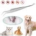 YHZMY 1 Pack Stainless Steel Tick Remover Tool Tick Removal Tool Set Stainless Steel Tick Remover Tick Removers Stainless Steel Professional Fleas Ticks Remover Kit for Humans Dogs Cats - Buy Online on GoSupps.com
