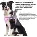 Shop Dog Harness & Puppy Tableware - Bright Cat Dishes & Leash for Small Dogs (Pink S) - Buy Online on GoSupps.com