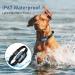 HenBrook Dog Bark Collar - Adjustable Sensitivity & Intensity - Rechargeable Smart Collar for Small, Medium & Large Dogs - Buy Online on GoSupps.com