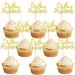 18 PCS Eid Mubarak Cake Topper Eid Mubarak Cupcake Toppers Muslim Mubarak Glitter Cake Decorations Ramadan Kareem Party Eid Decorations Birthday Cupcake Toppers - Buy Online on GoSupps.com