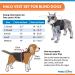 Walkin Halo Harness for Blind Dogs - Comfortable Harness for Pets Over 30lbs - Blind Dog Accessories - XX-Small - Buy Online on GoSupps.com
