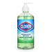 Clorox Liquid Hand Soap Pump - 16 oz Soothing Aloe Antibacterial Hand Soap - Liquid Hand Soap Eliminates Dirt  Soft on Hands Tough on Dirt - Clorox Hand Soap  Bathroom Hand Soap  Kitchen Soap 16 Fl Oz (Pack of 1) Soothin...