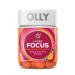 Olly Laser Focus Gummy 18 Day Supply Gummies Ginseng Alpha GPC B Vitamins Chewable Supplement, Berry Tangy Tangerine, 36 Count