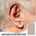 100 Transparent Ear Acupuncture Point Plaster - 600 Ear Beans & Tweezers | Ear Seed Acupuncture for Ear Point Massage - Boost Wellness & Relief - Buy Online on GoSupps.com
