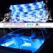 Waterproof RGB Boat Lights - 16.4ft LED Strip with Remote, 20 Colors Changing | Boat Accessories for Sailboat, Kayak, Fishing - 12V Flexible Lights for RV Awning - Buy Online on GoSupps.com