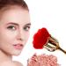 JERCLITY Rose Makeup Brushes Set - 2 Large Kabuki Face & Blush Brushes for Powder & Nail Art - Gold Brown/Gold Red - Buy Online on GoSupps.com