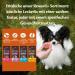 Wellness Core Reward+ Krill Dog Treats - Grain-Free Promotes Healthy Digestion 170g - Buy Online on GoSupps.com