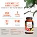 NaturTreu Coenzyme Q10 Capsules - 200mg 90 Vegan Capsules | High-Dose Q10 for Energy & Performance | 3-Month Supply Premium Quality - Buy Online on GoSupps.com