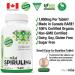 Plantvital Organic Spirulina Tablets (240 Tablets) 1000mg Per Tablet - Mega Source of Chlorophyll Protein. Vitamins/Minerals Antioxidant Rich Superfood. Vegan Non-GMO Gluten Soy Dairy Free! Made in Canada 240 count (Pack of 1) - Buy Online on GoSupps.com