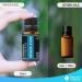 Nature s Fusions MigraEase Essential Oil Blend 15ml - Natural Relief with Peppermint Lavender Ginger & Chamomile for Headache & Migraine Support - Buy Online on GoSupps.com