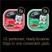 CESAR Adult Wet Dog Food Classic Loaf in Sauce Entr es - Beef - Turkey 100g Tray (12 Pack) Beef - Turkey 100 g (Pack of 12) - Buy Online on GoSupps.com
