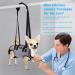 Ownpets Lifting Aid Dishes for Small Dogs | Adjustable Waterproof Dog Carrier Bag with Shoulder Strap - Buy Online on GoSupps.com