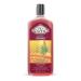 TIO NACHO Ginseng Shampoo Pack of 3 - Strengthening & Revitalizing 14 Fl Oz Each - Buy Online on GoSupps.com