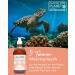 Premium Salmon Oil for Dogs & Cats - Omega 3 & 6 | 500ml Norwegian Natural Supplement for Health - Buy Online on GoSupps.com
